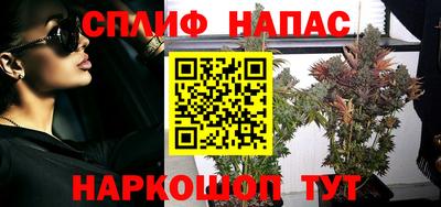 прущие грибы Ликино-Дулёво