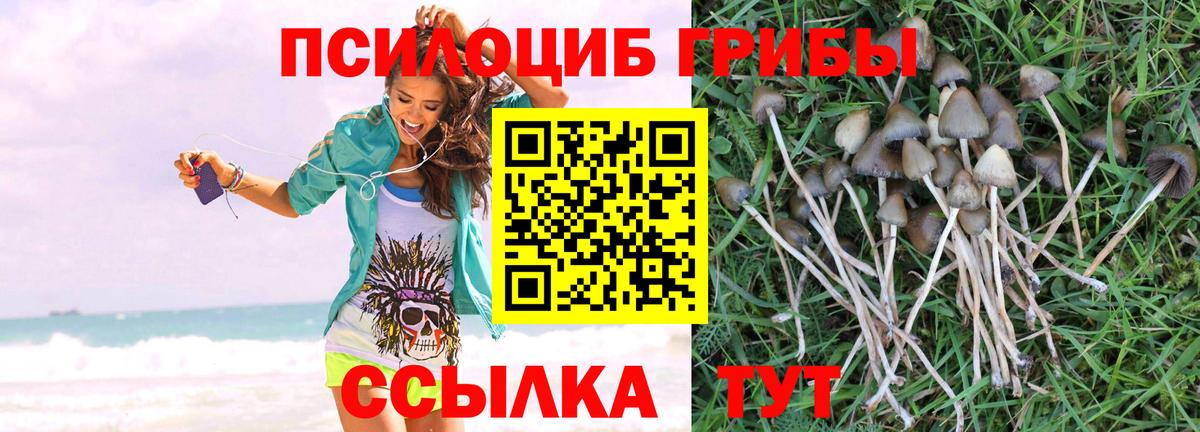 Псилоцибиновые грибы Magic Shrooms Шахты