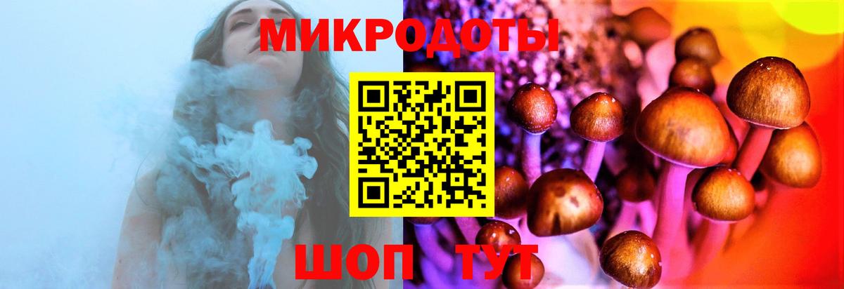 Псилоцибиновые грибы мухоморы  Галлюциногенные грибы Psilocybine cubensis  Шахты  Вход с VPN 